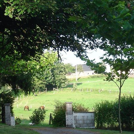 Furnished Bungalow In Monceau En Ardenne With Garden Barbecue Oizy Eksteriør bilde