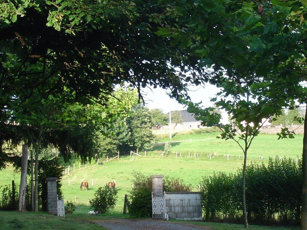 Furnished Bungalow In Monceau En Ardenne With Garden Barbecue Oizy Eksteriør bilde
